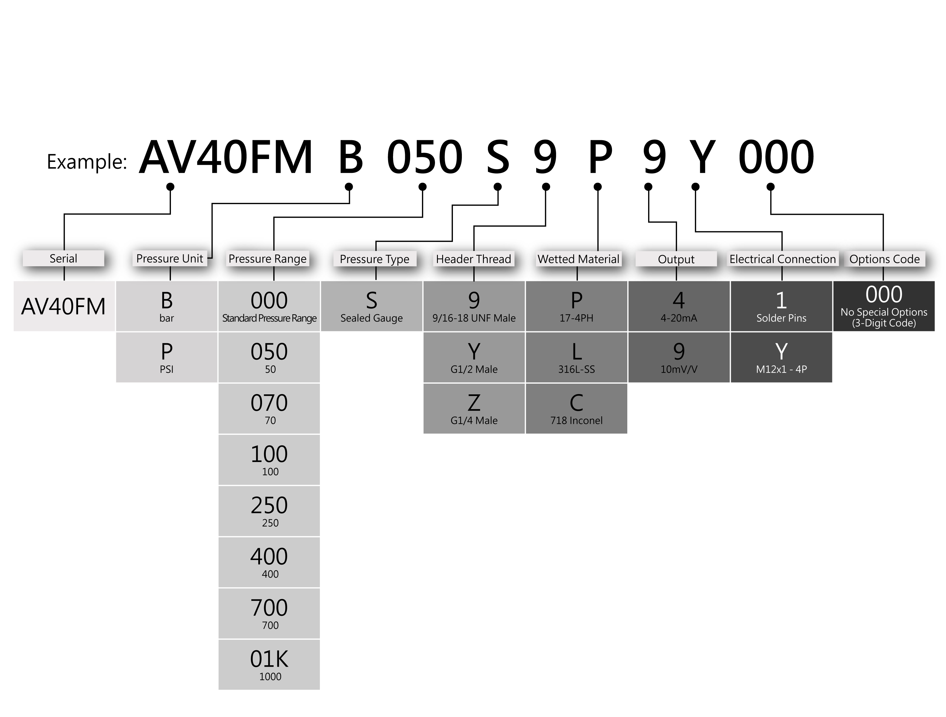 Ordering Information for AV400